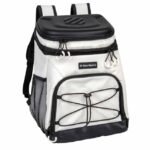 Hardtop 18 Can Backpack Cooler
